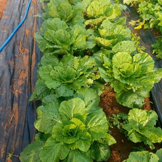 박광현님의 자유주제 · 사진전 작성글 사진