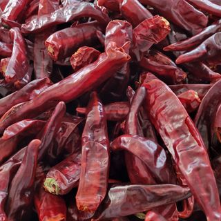 창원홍수연님의 윷놀이 끝! 어떠셨나요? · 참여글 작성글 사진