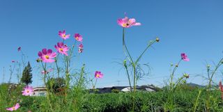 정진해님의 자유주제 · 사진전 작성글 사진