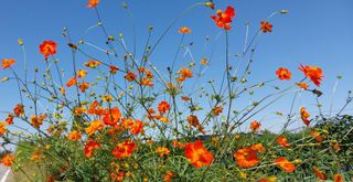 정진해님의 자유주제 · 사진전 작성글 사진