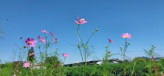 정진해님의 자유주제 · 사진전 작성글 사진