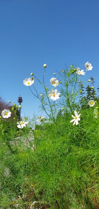 정진해님의 자유주제 · 사진전 작성글 사진