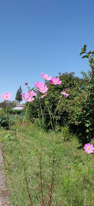 정진해님의 자유주제 · 사진전 작성글 사진