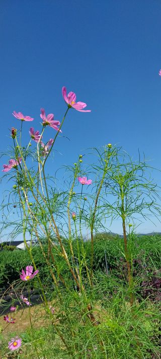 정진해님의 자유주제 · 사진전 작성글 사진