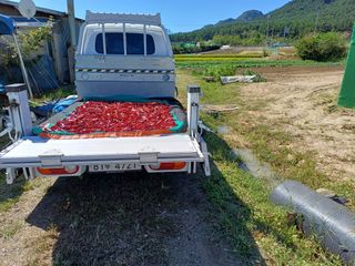 자두12065님의 윷놀이 끝! 어떠셨나요? · 참여글 작성글 사진