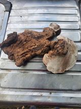 팜모닝 기타작물·자유게시판 게시글 이미지