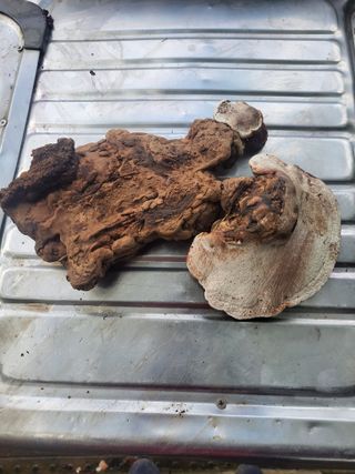 태 야님의 기타작물 · 자유게시판 작성글 사진