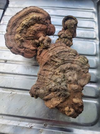 태 야님의 기타작물 · 자유게시판 작성글 사진