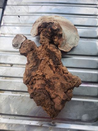 태 야님의 기타작물 · 자유게시판 작성글 사진