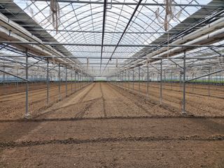 김지연님의 토마토 · 토양준비 작성글 사진