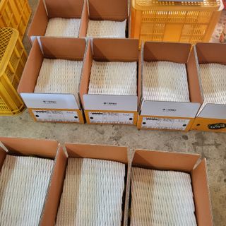 감귤해진님의 작성글 사진