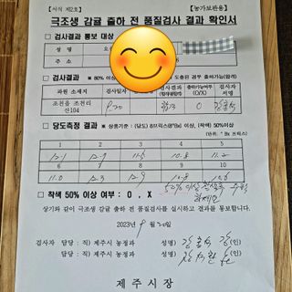 감귤해진님의 작성글 사진
