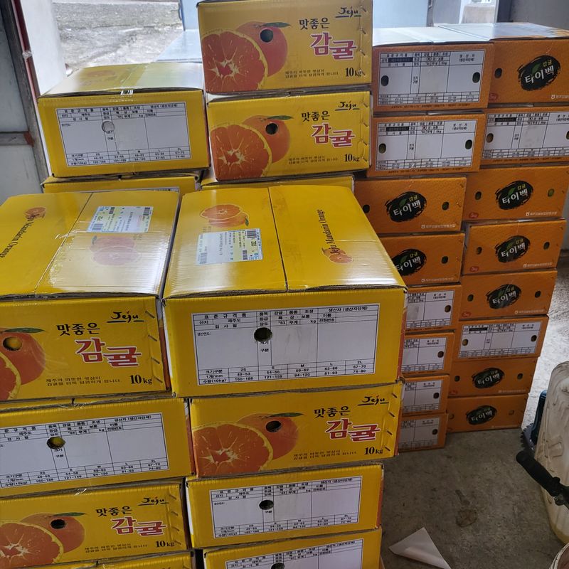 감귤해진님의 장터 판매 상품 [5K노지타이벡감귤] 첨부 사진