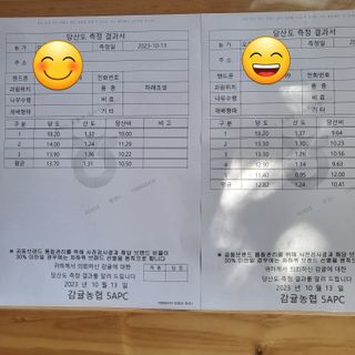 감귤해진님의 작성글 사진