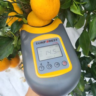 감귤해진님의 작성글 사진