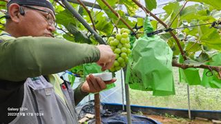 포포랑샤인에 묻혀서님의 윷놀이 끝! 어떠셨나요? · 참여글 작성글 사진