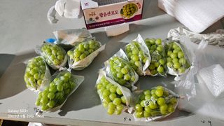 포포랑샤인에 묻혀서님의 윷놀이 끝! 어떠셨나요? · 참여글 작성글 사진