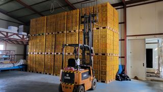 형설농원 정순정님의 배 · 수확 작성글 사진