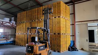 형설농원 정순정님의 배 · 수확 작성글 사진