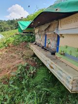 팜모닝 윷놀이 끝! 어떠셨나요?·참여글 게시글 이미지