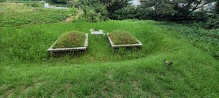 성동리님의 윷놀이 끝! 어떠셨나요? · 참여글 작성글 사진