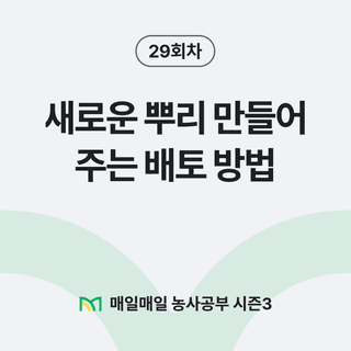 팜모닝 농사공부님의 매일매일 농사공부 · 매일매일 농사공부 작성글 사진