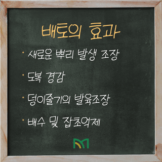 팜모닝 농사공부님의 매일매일 농사공부 · 매일매일 농사공부 작성글 사진