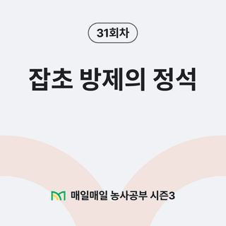 팜모닝 농사공부님의 매일매일 농사공부 · 매일매일 농사공부 작성글 사진