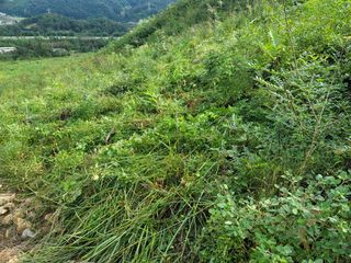 서성환님의 기타작물 · 영농일지 작성글 사진