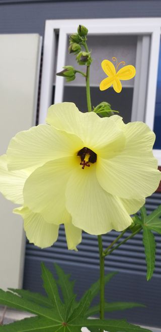 수호 (푸른바위)님의 윷놀이 끝! 어떠셨나요? · 참여글 작성글 사진