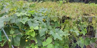 원빈님의 자유주제 · 자유게시판 작성글 사진