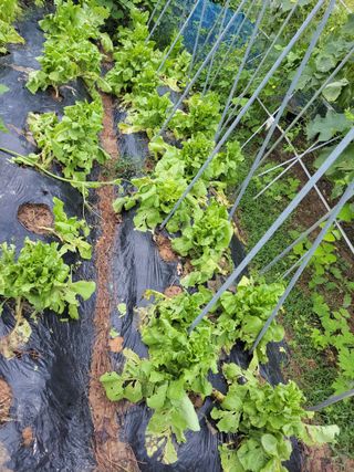 원빈님의 자유주제 · 자유게시판 작성글 사진