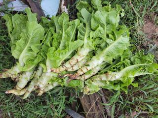 원빈님의 자유주제 · 자유게시판 작성글 사진
