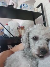 팜모닝 윷놀이 끝! 어떠셨나요?·참여글 게시글 이미지
