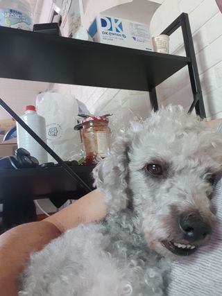 김창빈님의 윷놀이 끝! 어떠셨나요? · 참여글 작성글 사진