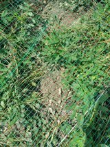 팜모닝 자유주제·자유게시판 게시글 이미지