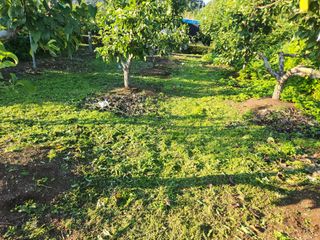 안종범님의 배 · 영농일지 작성글 사진