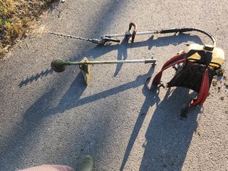 안종범님의 배 · 영농일지 작성글 사진