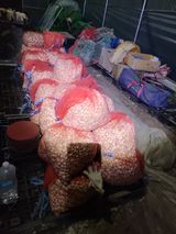 팜모닝 마늘·영농일지 게시글 이미지