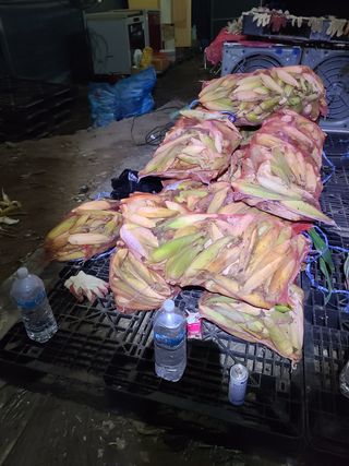 김봉학님의 마늘 · 영농일지 작성글 사진