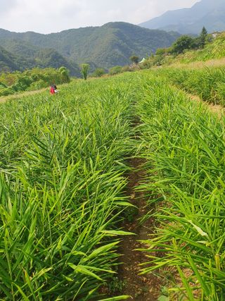 블루베리님의 자유주제 · 자유게시판 작성글 사진