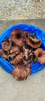 팜모닝 자유주제·자유게시판 게시글 이미지