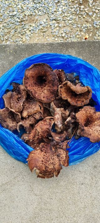 최영호님의 자유주제 · 자유게시판 작성글 사진