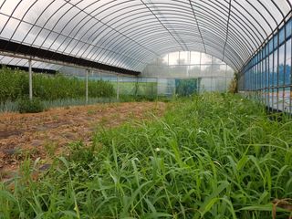 이현주님의 참깨 · 자유게시판 작성글 사진