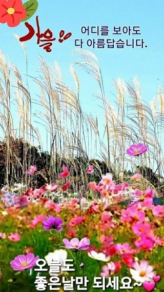 양파19708님의 윷놀이 끝! 어떠셨나요? · 참여글 작성글 사진