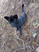 팜모닝 윷놀이 끝! 어떠셨나요?·참여글 게시글 이미지