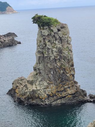 전홍열님의 윷놀이 끝! 어떠셨나요? · 참여글 작성글 사진