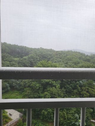 김철용님의 호박 · 자유게시판 작성글 사진