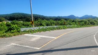 기호용님의 블루베리 · 자유게시판 작성글 사진