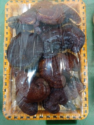 산골촌부님의 작성글 사진